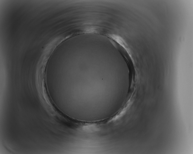 X0000089720097200707121438