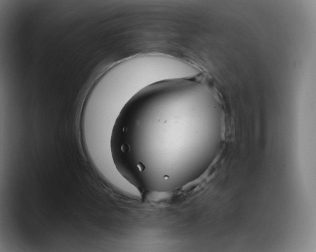 X0000089720099200707121438