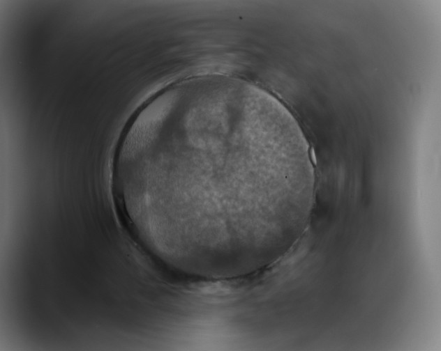 X0000089720100200707121438