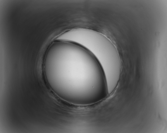 X0000089720101200707121438