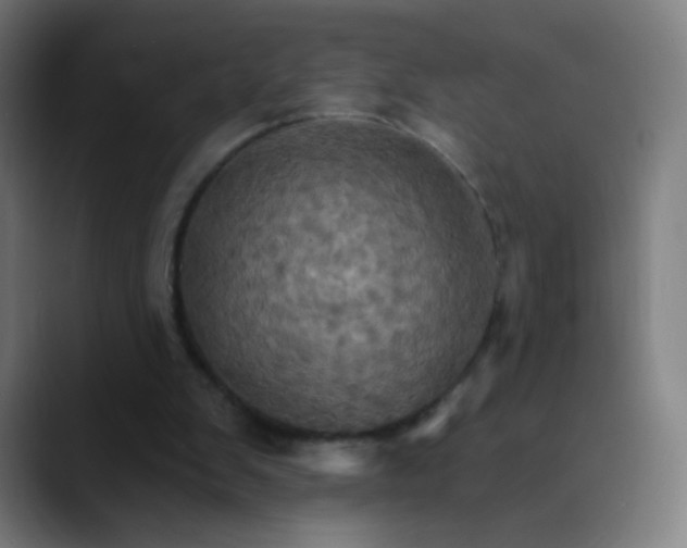 X0000089720103200707121438