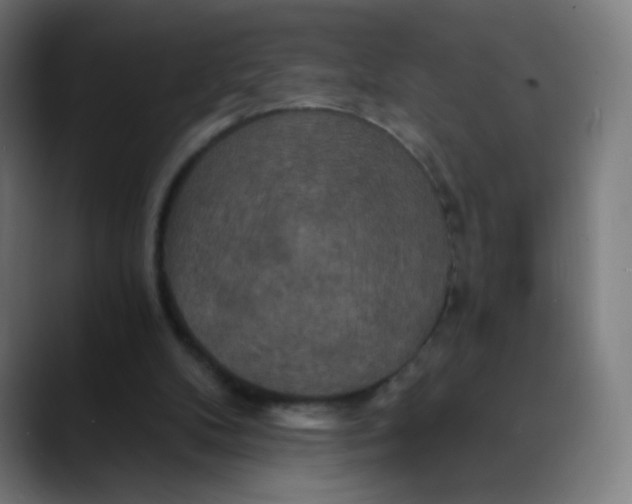 X0000089720104200707121438