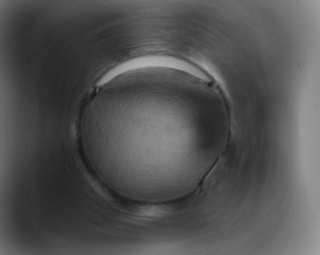 X0000089720105200707121438