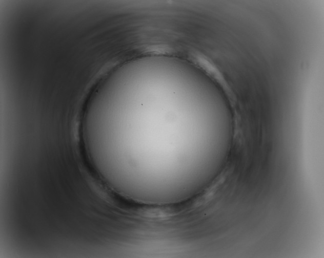 X0000089720106200707121438