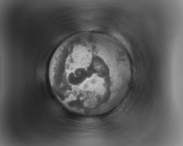 X0000089720107200707121438
