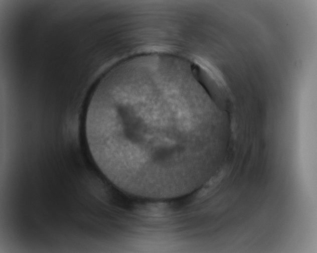 X0000089720108200707121438