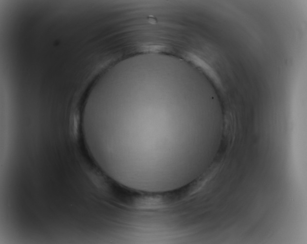 X0000089720110200707121438