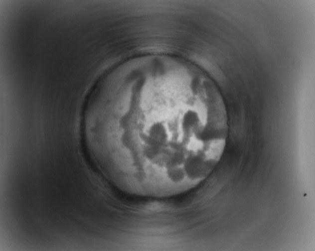 X0000089720111200707121438