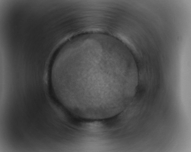 X0000089720112200707121438