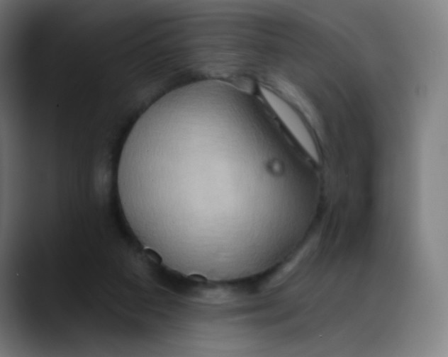 X0000089720113200707121438