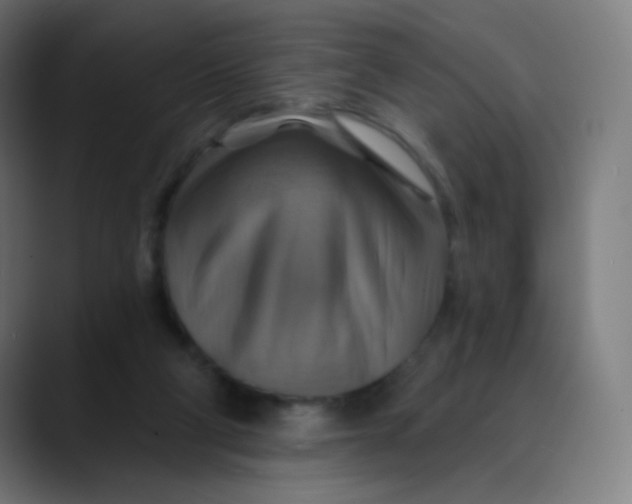 X0000089720114200707121438