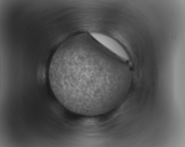 X0000089720115200707121438