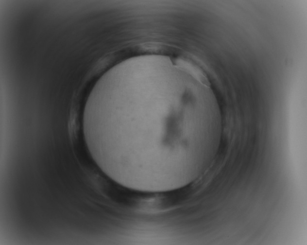 X0000089720116200707121438