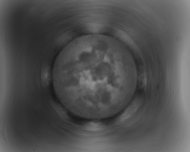 X0000089720119200707121438