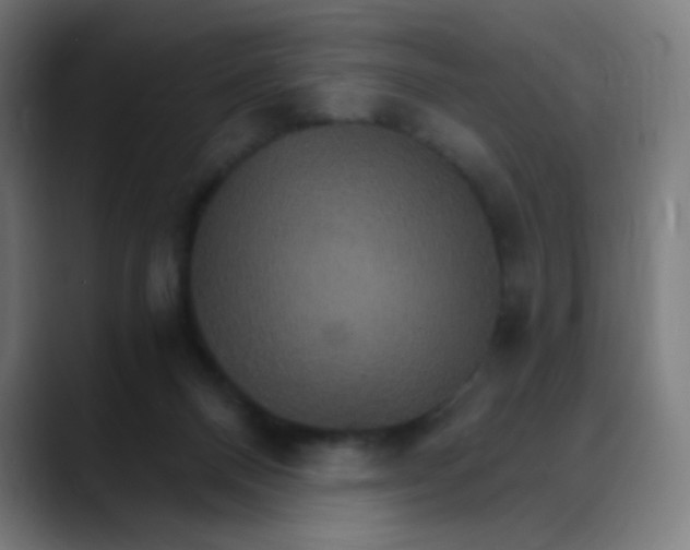 X0000089720120200707121438