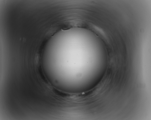 X0000089720121200707121438