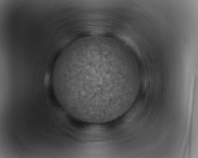 X0000089720123200707121438