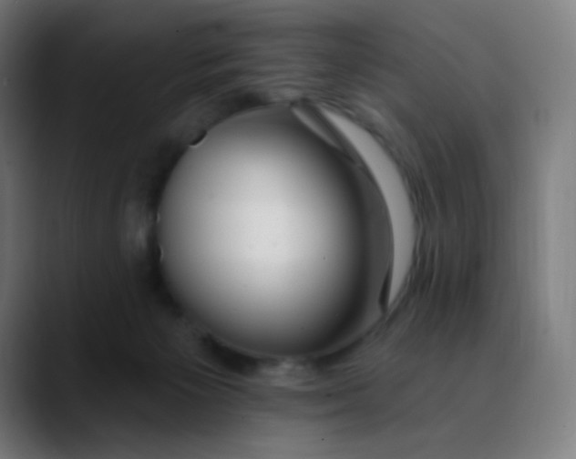 X0000089720125200707121438