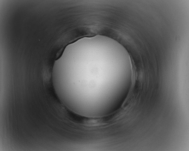 X0000089720129200707121438