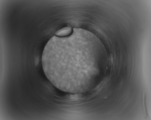 X0000089720134200707121438