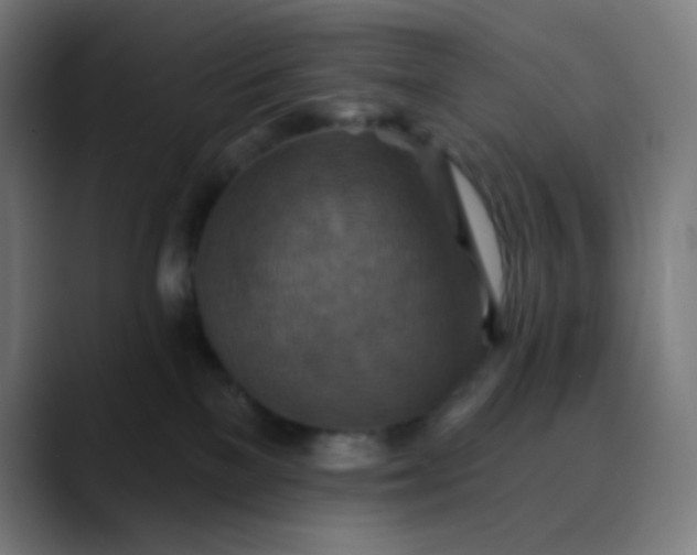X0000089720137200707121438