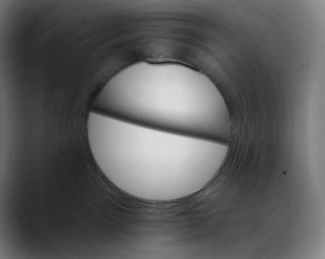 X0000089720141200707121438