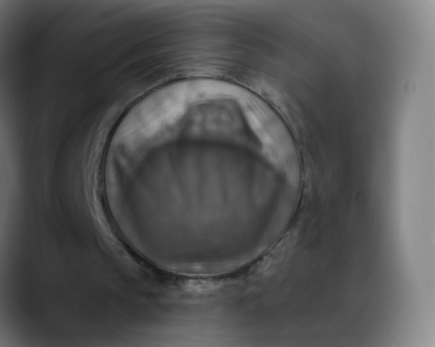 X0000089720145200707121437