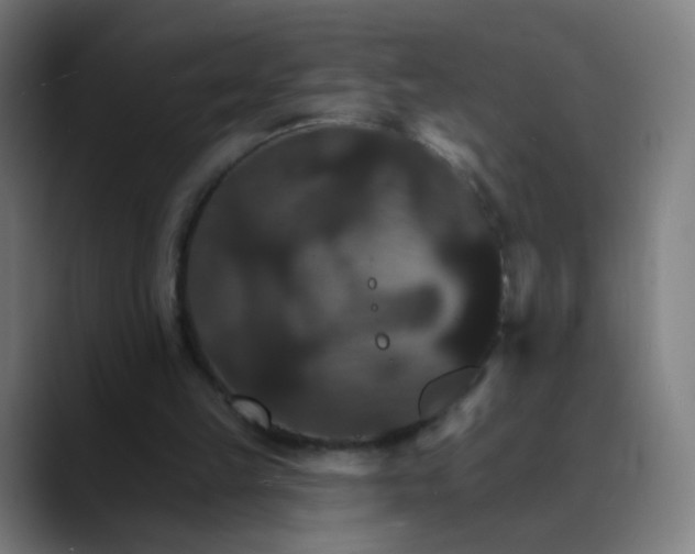 X0000089720149200707121437