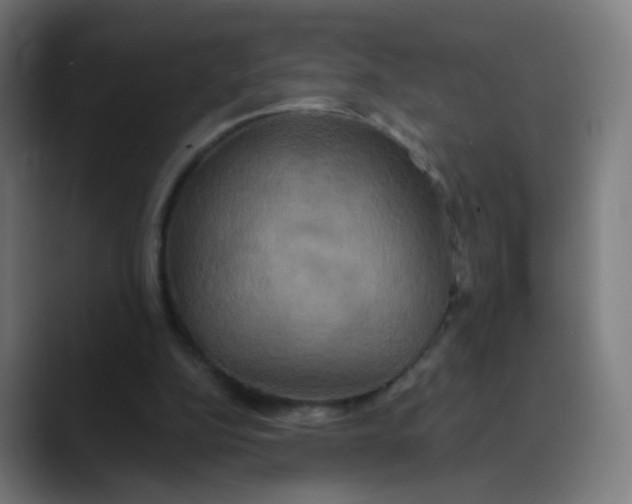 X0000089720152200707121437