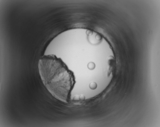 X0000089720153200707121437