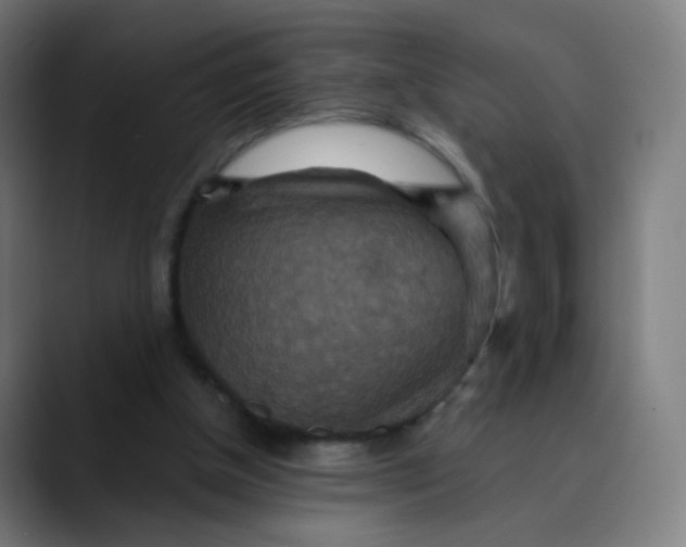 X0000089720154200707121437