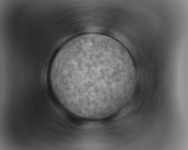 X0000089720155200707121437