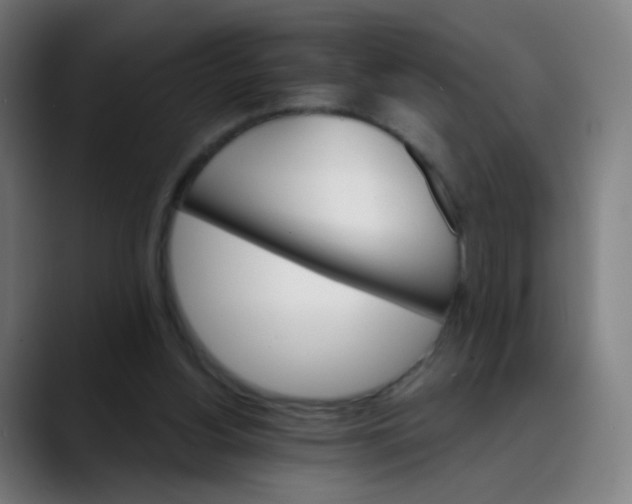 X0000089720156200707121437