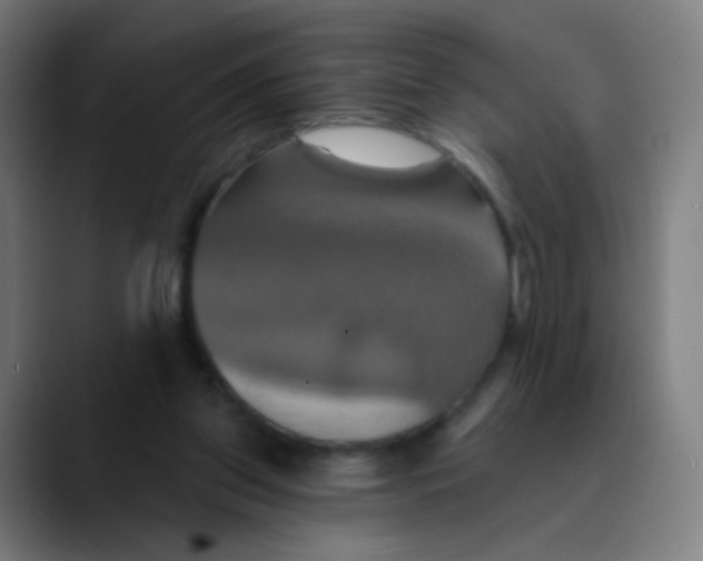 X0000089720157200707121437