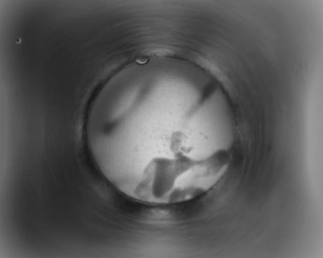 X0000089720159200707121437