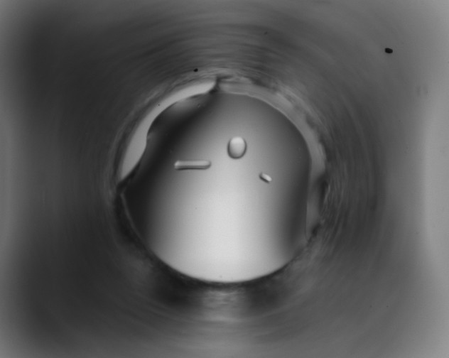 X0000089720160200707121437