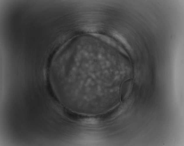 X0000089720161200707121437