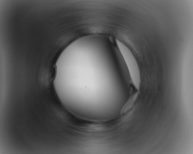 X0000089720164200707121437