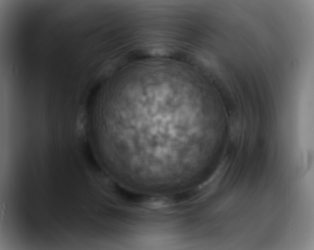 X0000089720175200707121437