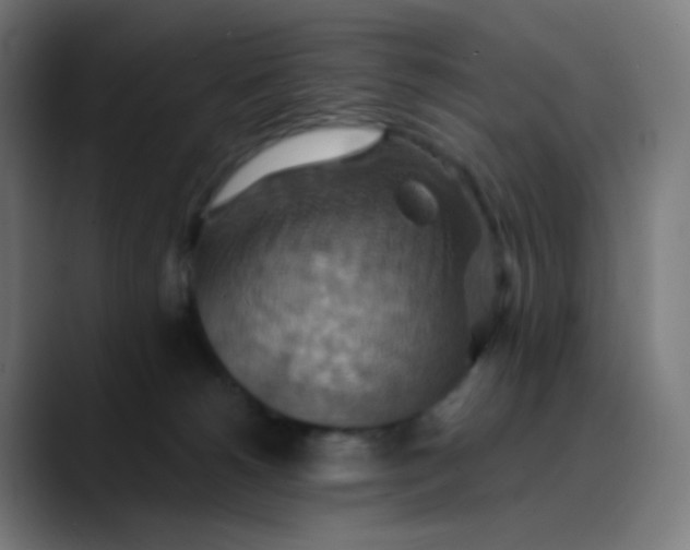 X0000089720180200707121438