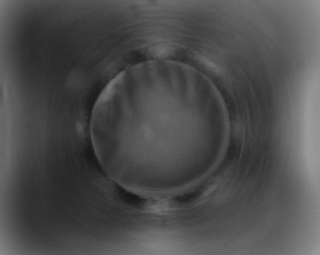 X0000089720181200707121438