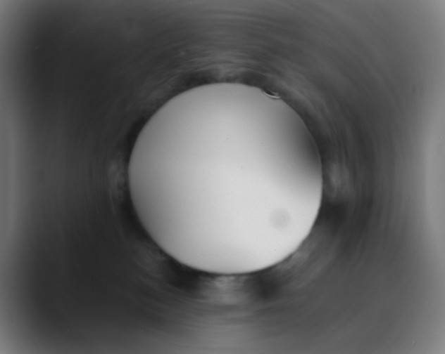 X0000089720184200707121438