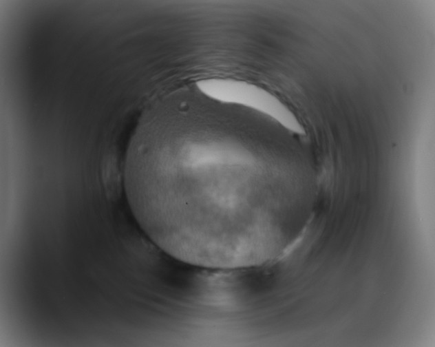X0000089720186200707121438