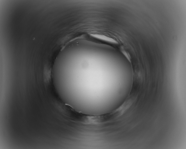X0000089720188200707121438