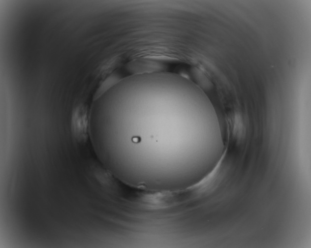 X0000089720190200707121438