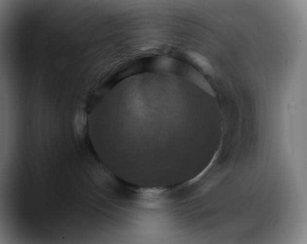 X0000089720192200707121438