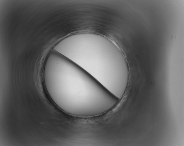 X0000089720193200707121437