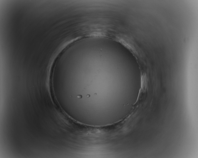 X0000089720195200707121437