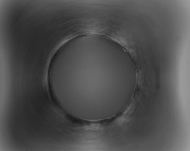 X0000089720196200707121437