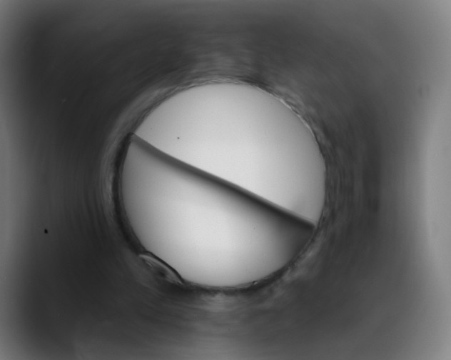 X0000089720197200707121437